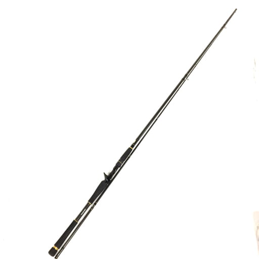 ダイワ ラテオ LATEO 97MB シーバスロッド 2ピース 釣り竿 海釣り用 社外保存ケース付き DAIWA